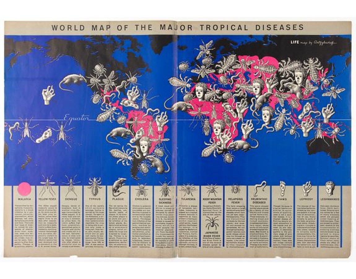 World Map Of The Major Tropical Diseases Loeb larocque